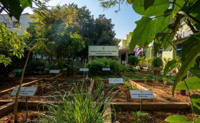 Medicinal Garden